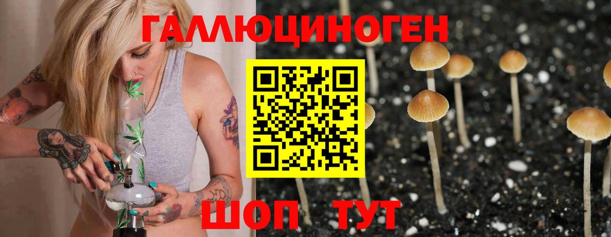 Галлюциногенные грибы Psilocybe  Вход с VPN  где купить наркотик  Прокопьевск 