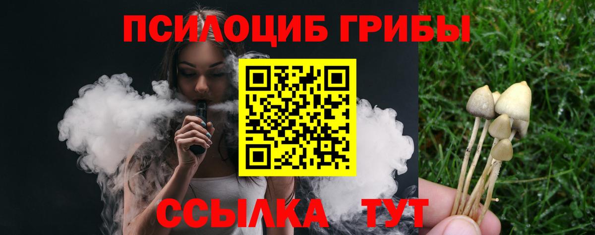 Псилоцибиновые грибы прущие грибы Прокопьевск